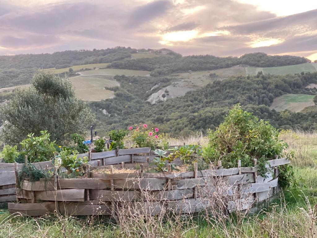 Pian Di Meta Vecchia Vakantieboerderij Castiglione dʼOrcia
