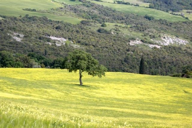 Pian Di Meta Vecchia Vakantieboerderij Castiglione dʼOrcia