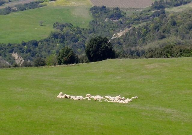 Pian Di Meta Vecchia Alloggio per agriturismo Castiglione dʼOrcia