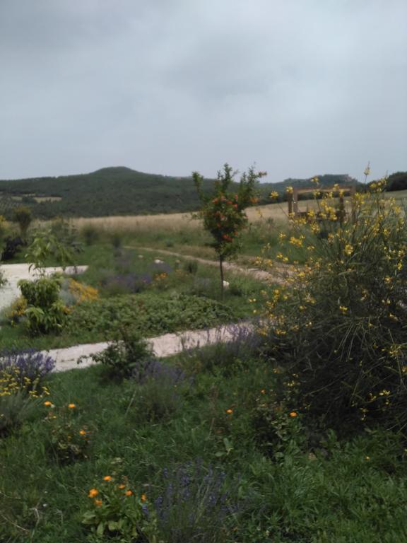 Pian Di Meta Vecchia Castiglione dʼOrcia