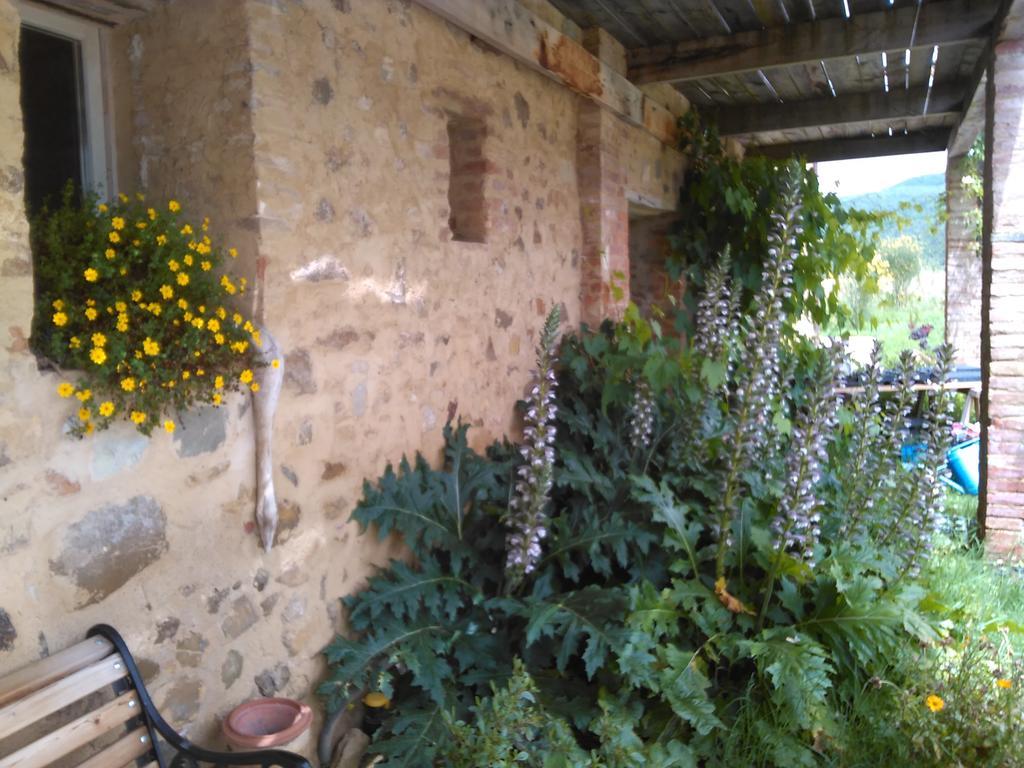 Alojamento de Turismo Rural Pian Di Meta Vecchia *